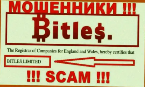 Владельцами Битлес оказалась компания - Bitles Limited