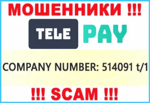 Регистрационный номер TelePay, который представлен жуликами на их сайте: 514091 t/1