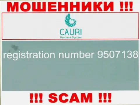 Регистрационный номер, принадлежащий противоправно действующей организации Каури: 9507138