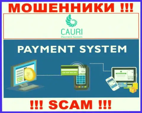 Разводилы Cauri, орудуя в области Payment system, оставляют без денег доверчивых клиентов