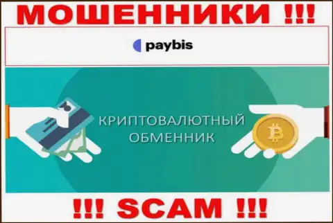 Крипто обменник - это вид деятельности преступно действующей организации PayBis