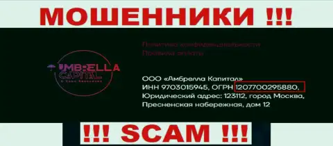 ООО Амбрелла Капитал internet-мошенников Umbrella-Capital Ru было зарегистрировано под этим рег. номером - 207700295880