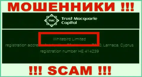 На официальном сайте Trust-M-Capital Com отмечено, что указанной организацией руководит Whitebird Limited