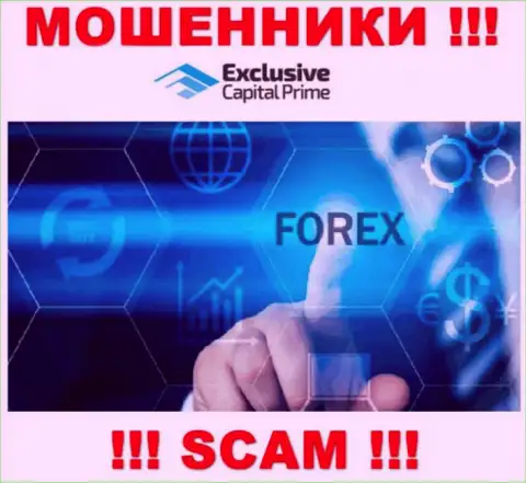 FOREX - это сфера деятельности неправомерно действующей компании ЭксклюзивКапитал