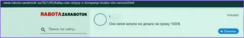 Разгромный достоверный отзыв жертвы об плохом опыте совместного сотрудничества с интернет-кидалами из Hallip Com