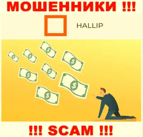 Лохотронщики Hallip Com сделают все возможное, чтобы затянуть в свой лохотронный проект побольше доверчивых людей