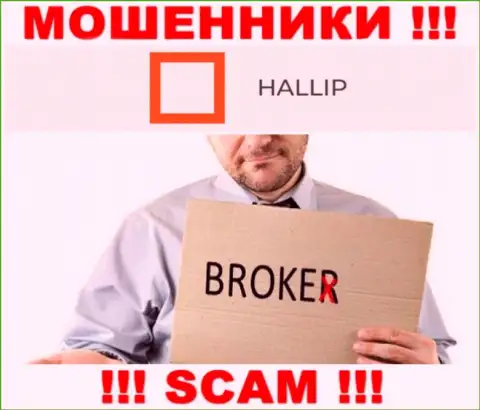 Род деятельности internet-мошенников Hallip - это Брокер, но помните это разводняк !