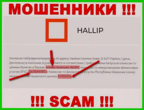 Не имейте дело с мошенниками Hallip - наличием лицензионного документа, на интернет-сервисе, заманивают лохов