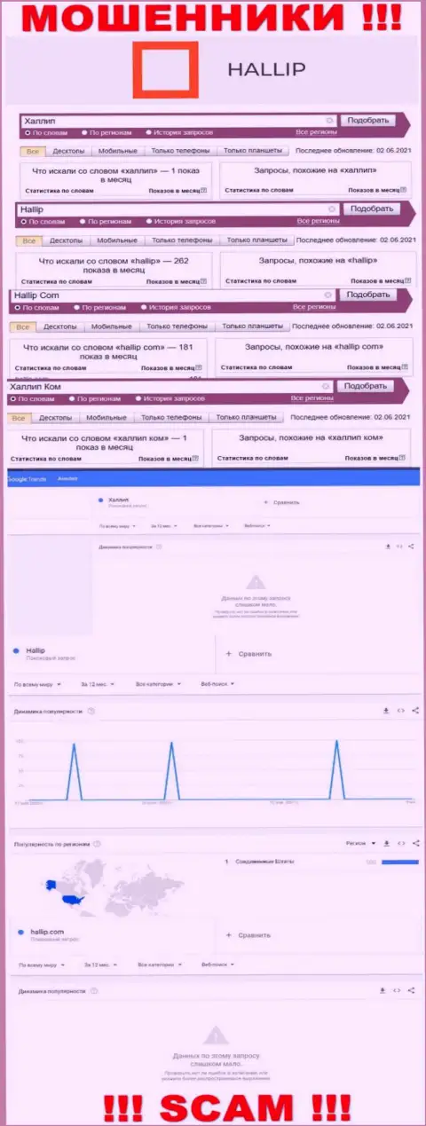 Статистические показатели о онлайн запросах по бренду мошенников Hallip