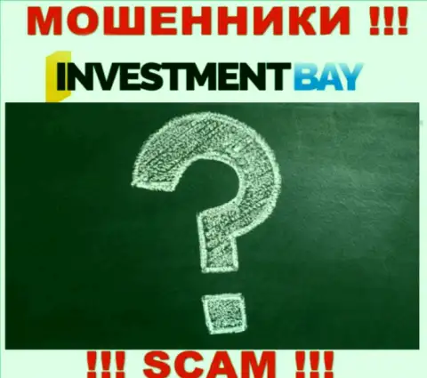 InvestmentBay Com - это сто процентов МОШЕННИКИ ! Организация не имеет регулятора и лицензии на свою работу