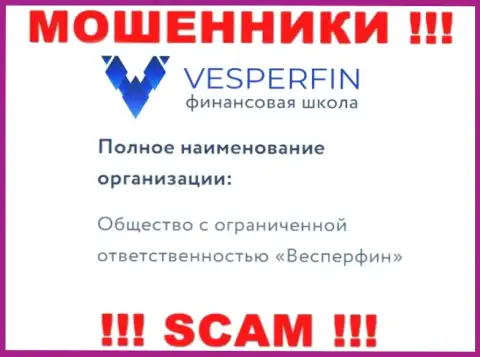 Сведения про юридическое лицо интернет мошенников VesperFin Com - ООО Весперфин, не спасет Вас от их загребущих лап