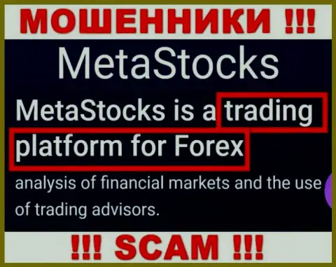 Деятельность мошенников MetaStocks Org: Торговая платформа - это замануха для неопытных людей