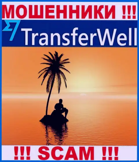 Юрисдикция TransferWell спрятана, так что перед перечислением денег нужно подумать хорошо