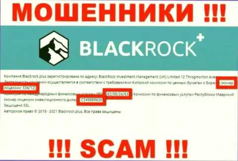 БлэкРок Плюс скрывают свою мошенническую сущность, представляя на своем сайте лицензию на осуществление деятельности