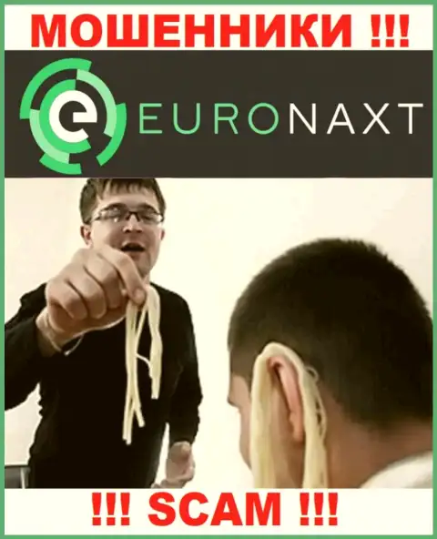 EuroNax стараются развести на совместное сотрудничество ??? Будьте весьма внимательны, мошенничают