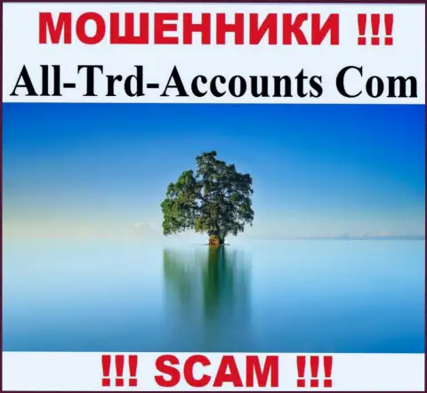 All Trd Accounts воруют денежные активы и остаются без наказания - они скрывают сведения об юрисдикции