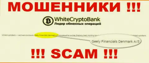 Юридическим лицом, владеющим шулерами WhiteCryptoBank, является Джили Финанс Денмарк А/С
