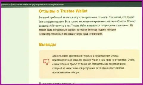 Trustee Wallet - это МОШЕННИКИ !!! Крадут вложенные деньги наивных людей (обзор деятельности)