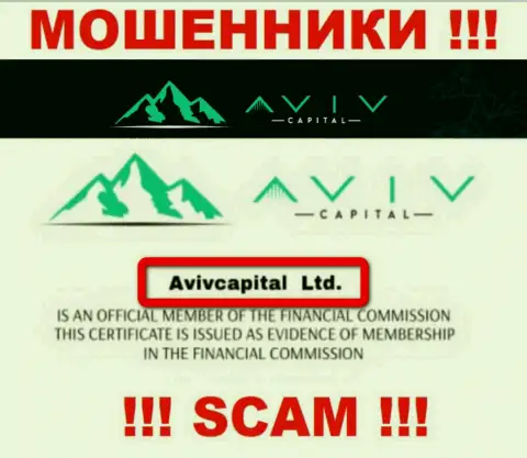 Вот кто владеет компанией Авив Капитал - это AvivCapital Ltd