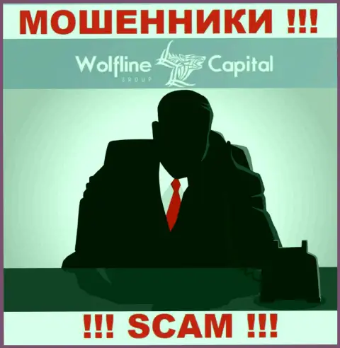 Не тратьте время на поиски информации об прямом руководстве Wolfline Capital, все сведения скрыты