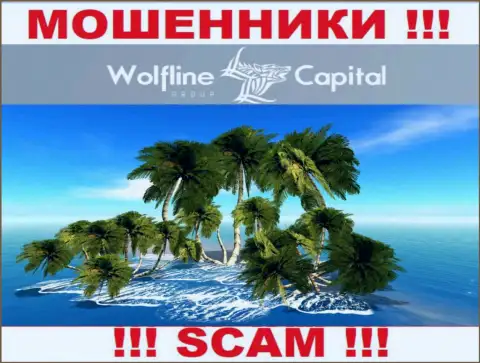 Мошенники Wolfline Capital не представляют правдивую инфу касательно своей юрисдикции