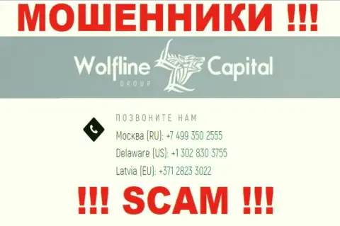 Осторожно, если вдруг звонят с незнакомых телефонных номеров, это могут быть internet-мошенники WolflineCapital