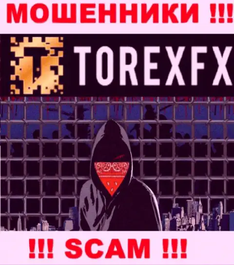 TorexFX скрывают инфу о руководстве компании
