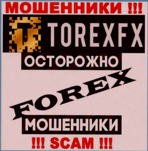 Тип деятельности TorexFX: Forex - хороший доход для интернет-мошенников